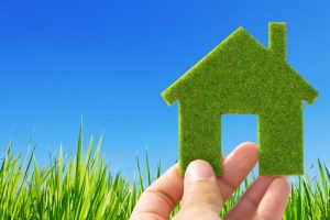Shop these green electric bargain plans and help fight climate change! Knowing your usage can help you cut your bill, too.