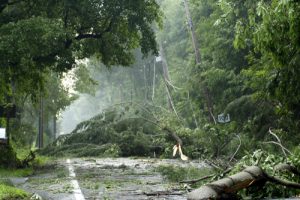 Utility crews also face Covid-19 illness and quarantine, so severe weather outages could last longer. Learn how to protect the food in your family fridge!
